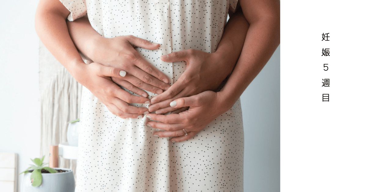 排卵が遅れて妊娠 生理予定より一週間後なのに陽線が薄い 妊娠５週目体験談 ゆみのすっぴん